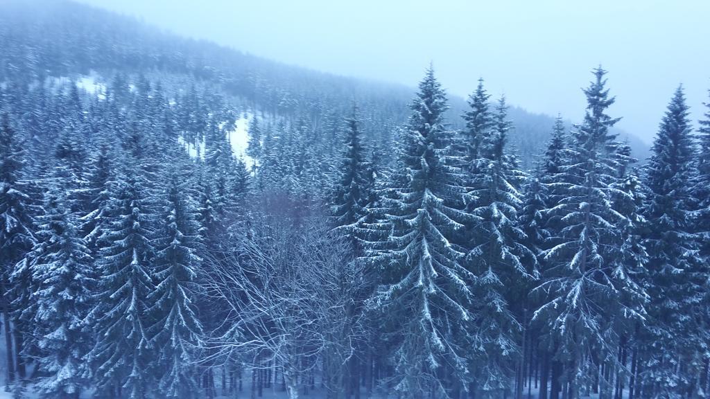 Vysokohorský apartmán Cihlářka Pec pod Snezkou Esterno foto